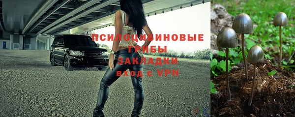 спайс Пересвет