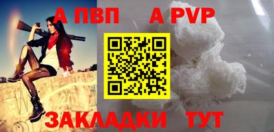 спиды Гатчина