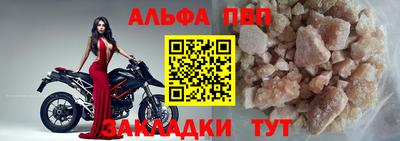 спиды Гатчина