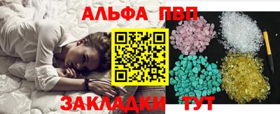 спиды Гатчина