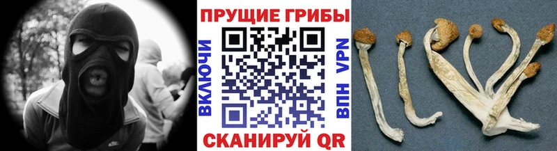наркошоп  Усинск  Псилоцибиновые грибы мицелий 