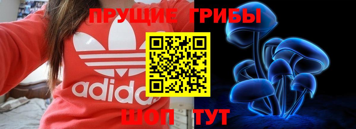 Галлюциногенные грибы прущие грибы  Псилоцибиновые грибы прущие грибы  Вход с VPN  Усинск 